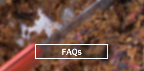 faqs-quad-border.jpg